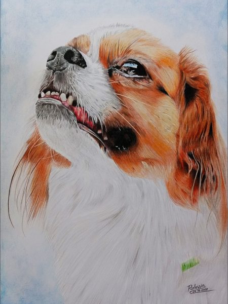 Técnica: Lápices de color Soporte: Papel Bristol 270 g/m² Medidas: 29,7 x 42 cm (A3) Fecha de realización: Diciembre 2016 VENDIDO