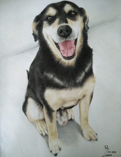 Técnica: Lápices de color Soporte: Papel Bristol 270 g/m² Medidas: 29,7 x 42 cm (A3) Fecha de realización: Mayo 2016 VENDIDO